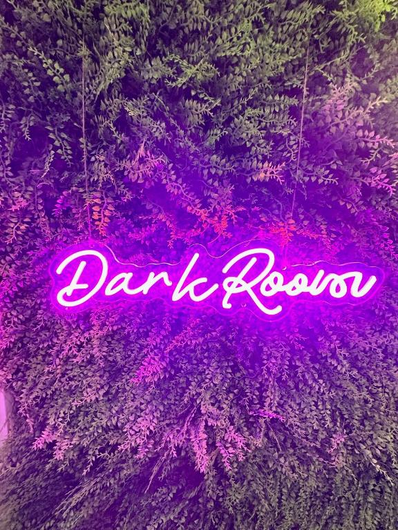 Dark & Exclusive room- Blois (41)