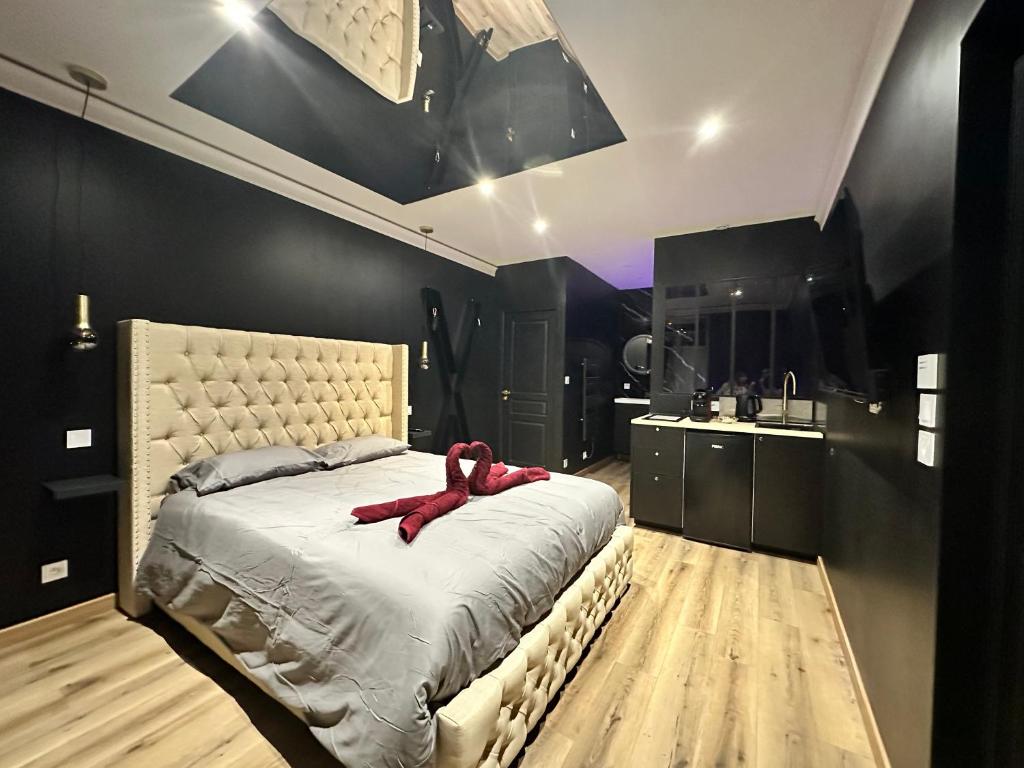 Dark & Exclusive room- Blois (41)